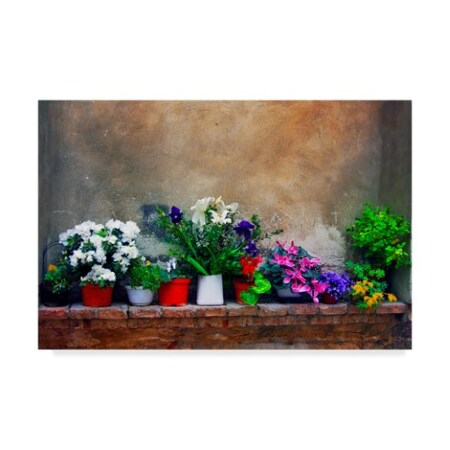 Ata Alishahi 'Wall Flowers' Canvas Art,22x32